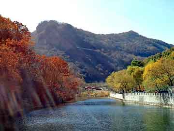 新澳天天开奖资料大全旅游团，f0自动挡